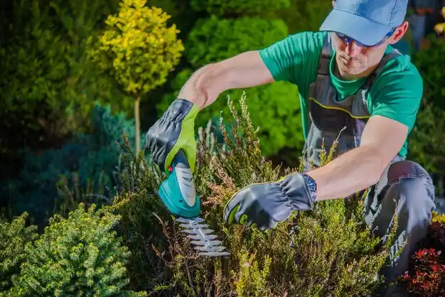 landscaping services Waltham